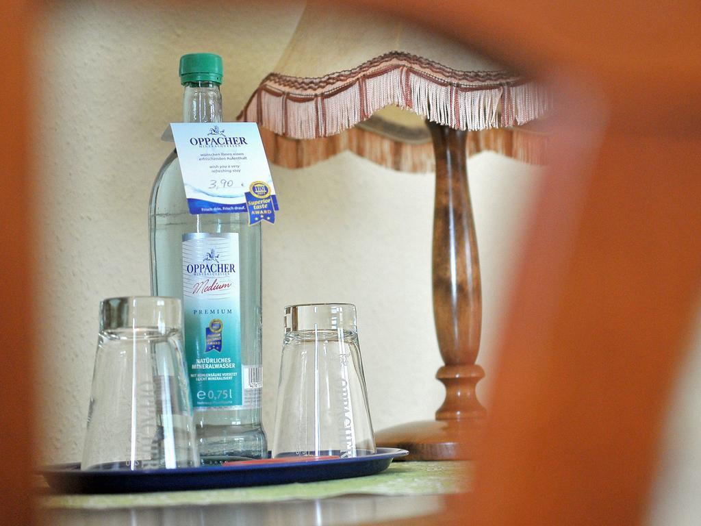 Hotel Eisenberger Hof à Moritzburg Extérieur photo